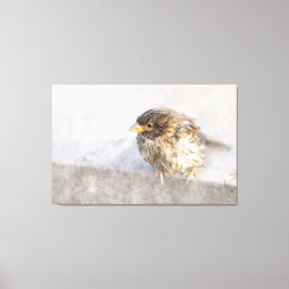 Sparrow - Wettervorhersage Epic Versag Leinwanddruck