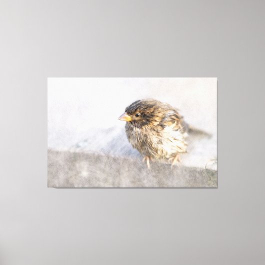 Sparrow - Wettervorhersage Epic Versag Leinwanddruck (Vorderseite)