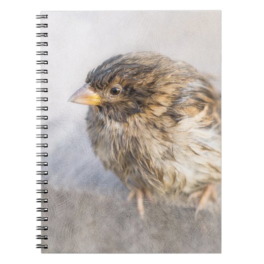 Sparrow - Wettervorhersage Epic Versag Notizblock (Vorderseite)