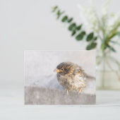 Sparrow - Wettervorhersage Epic Versag Postkarte (Stehend Vorderseite)