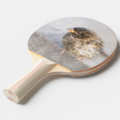 Sparrow - Wettervorhersage Epic Versag Tischtennis Schläger (Vorderseite)