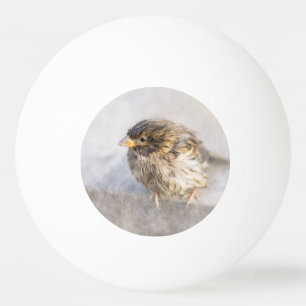 Sparrow - Wettervorhersage Epic Versag Tischtennisball