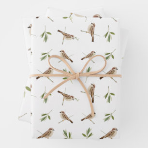 Sparrow Wrapping-Papier für jeden besondere Anlass Geschenkpapier Set