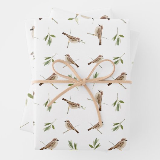 Sparrow Wrapping-Papier für jeden besondere Anlass Geschenkpapier Set (Beispiel)