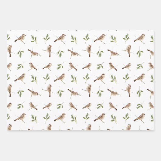Sparrow Wrapping-Papier für jeden besondere Anlass Geschenkpapier Set (Vorderseite)