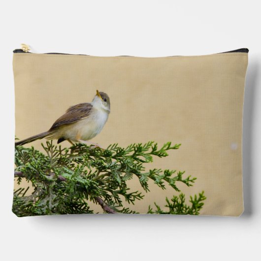 Sparrow Zubehörtasche (Vorderseite)