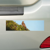 Sparrowhawa Autoaufkleber (Auf Auto)