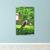 Sparrowhawawak in meinem Garten Leinwanddruck (Insitu (Holzboden))