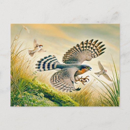 Sparrowhawawake Jagd auf der Wiese Feiertagspostkarte (Vorderseite)