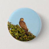 Sparrowhawk Button (Vorderseite)