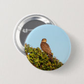 Sparrowhawk Button (Vorne & Hinten)