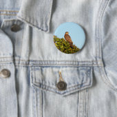 Sparrowhawk Button (Beispiel)