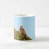 Sparrowhawk Kaffeetasse (Mittel)