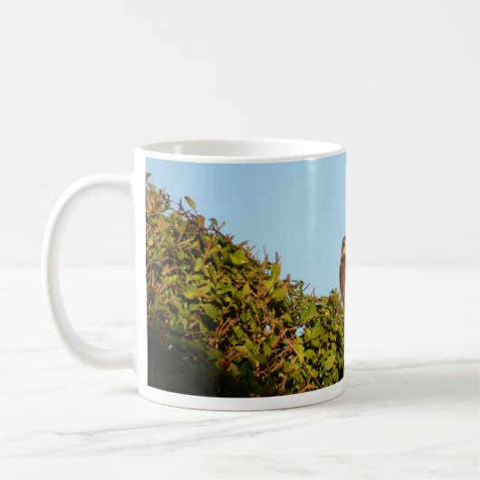 Sparrowhawk Kaffeetasse (Links)