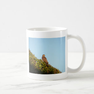 Sparrowhawk Kaffeetasse