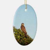 Sparrowhawk Keramik Ornament (Rechts)