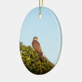 Sparrowhawk Keramik Ornament (Links)