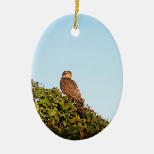 Sparrowhawk Keramik Ornament (Vorne)