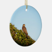 Sparrowhawk Keramik Ornament (Rechts)