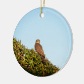 Sparrowhawk Keramik Ornament (Links)