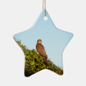 Sparrowhawk Keramik Ornament (Rechts)