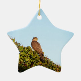 Sparrowhawk Keramik Ornament