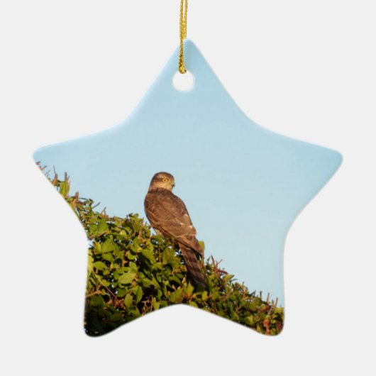 Sparrowhawk Keramik Ornament (Vorne)