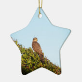 Sparrowhawk Keramik Ornament (Links)