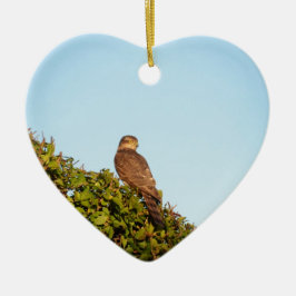 Sparrowhawk Keramikornament