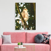 Sparrowhawk Leinwanddruck (Insitu (Wohnzimmer))