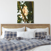 Sparrowhawk Leinwanddruck (Insitu (Schlafzimmer))