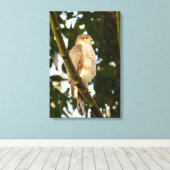 Sparrowhawk Leinwanddruck (Insitu (Holzboden))