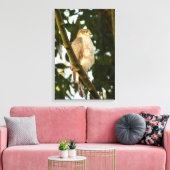 Sparrowhawk Leinwanddruck (Insitu (Wohnzimmer))