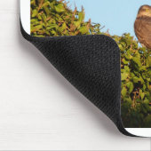 Sparrowhawk Mousepad (Ecke)