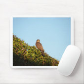 Sparrowhawk Mousepad (Mit Mouse)