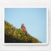 Sparrowhawk Mousepad (Vorne)