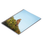 Sparrowhawk Notizblock (Linke Seite)