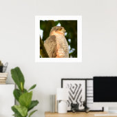 Sparrowhawk Poster (Heimbüro)