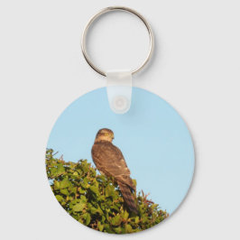 Sparrowhawk Schlüsselanhänger