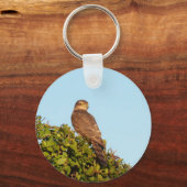Sparrowhawk Schlüsselanhänger (Vorderseite)