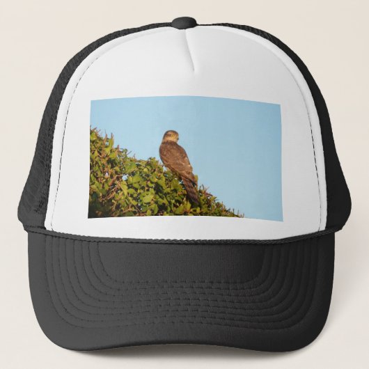 Sparrowhawk Truckerkappe (Vorderseite)