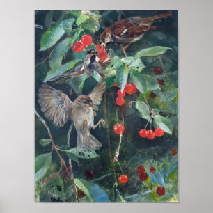 Sparrows in einem Kirschbaum, Bruno Liljefors Poster
