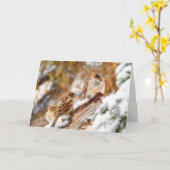 Sparrows in Snow Storm Weihnachtskarte Karte (Gelbe Blume)