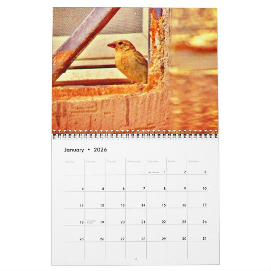 Sparrows und Finches Kalender (Jan 2026)