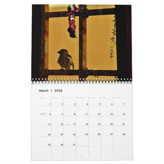 Sparrows und Finches Kalender (Mär 2026)