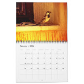 Sparrows und Finches Kalender (Feb 2026)