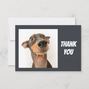 Spaß Albern schockiert aussehender Hund Danke