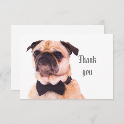 Spaß Alberner formeller Mops Hund Danke (Vorne/Hinten)