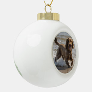 "Spaß am Meer: Ein Cocker Spaniel spielt im Ozean Keramik Kugel-Ornament