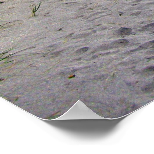 Spaß am Siesta Keys Beach Poster (Ecke)